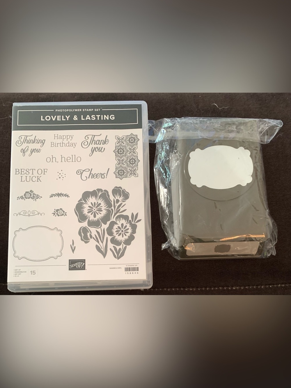 Stampin' Up! Lovely & Lasting Stamp Set & coordinating Punch Bundle. Punch New